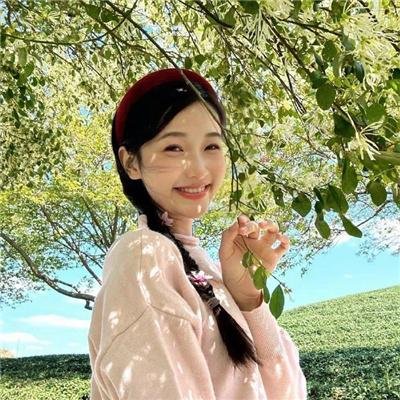风临樱花开