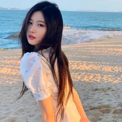 侍女之道